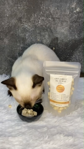 LARIVA ขนมแมว ฟรีซดราย ขนาด 20g.|อาหารแมวฟรีซดราย รสไก่ แซลม่อน ตับไก่ ไข่แดง โปรตีนสูง เพิ่มความอยากอาหาร สุขภาพดี สำหรับแมวทุกสายพันธุ์