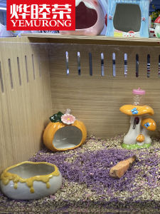 Nơi Ẩn Náu Hình Bầu Dục Gốm Cho Thú Cưng Nhỏ