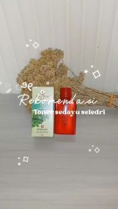 YESS - SELEDRI Toner ORIGINAL - 60 ml Toner Seledri Wajah Ampuh Mengecilkan Pori2 COD