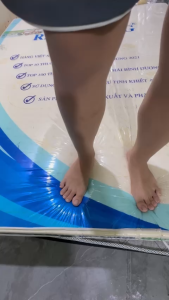 NỆM cao su Rạng Đông GOLD cao cấp mua 1 nệm tặng 2 gối nằm cao su thiên nhiên