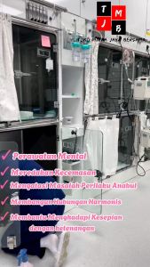 Perawatan Mental Anabul Membantu Meredakan Kecemasan Anjing kucing Vital Pet