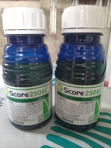 SCORE 250 EC / 250 ml ( FUNGISIDA )