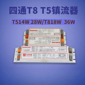 Electronic One-to-Two Ballast 220V