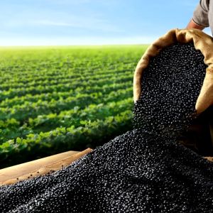 Bango Kecap Manis Refill Isi Ulang 700 gram