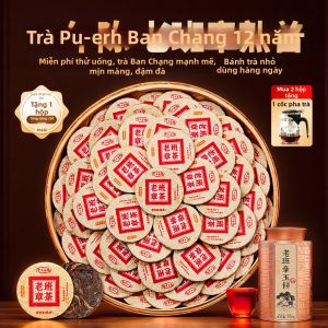 BANRUN | Trà Pu-erh Chín Cây Cổ Thụ 10 Năm Trở Lên Bánh Nhỏ