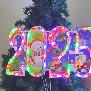 LED Christmas Lights Tree/Star/Flower/Wheel Design Outdoor Decoration Dancing LED Colorful Lights