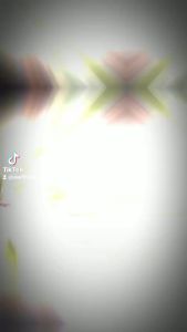 500g KẸO DỪA CUỘN BÁNH TRÁNG Bến Tre