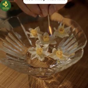 Trà Đinh Ngọc - Travina - Trà Thái Nguyên chuẩn VietGap