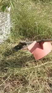 ใบมีด ตัดหญ้า ตัดรอบโคน ปลอดภัย ไม่ต้องกลัวโดนต้นไม้ ท่อน้ำ แบบ 2 แฉก ความยาว 10 นิ้ว M