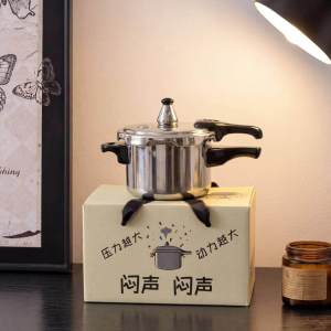 Novelty Mini Pressure Cooker Styled Mug Gift