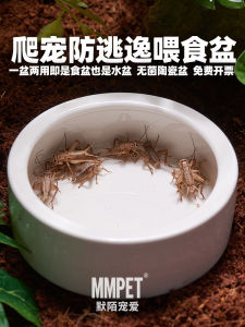 MMPET Ceramic Pet Feeding Bowl for Reptiles And Amphibians Escape Proof Water Bowl Suitable for Hamsters Gerbils Guinea Pigs