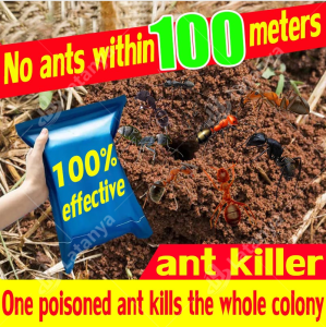 no ants for 10 years One infected whole nest died Effective Powder Ant Killing Bait Serial killing of black red and yellow ants kill rate up to 100%Insect Killer pests bugs insecticides pesticides trap Repeller Control trapping