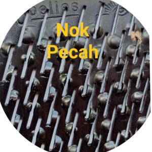 Saringan selipan giling padi N70 black