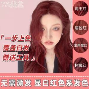 HaiWang Red Hair Dye Gel 100g Student Friendly Easy to Use Raspberry Red Wine Color Trendy White Enhancing Hair Coloring Product