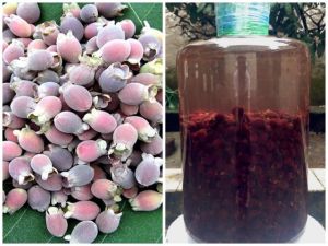 Quả sim rừng khô sim ngâm rượu 1kg