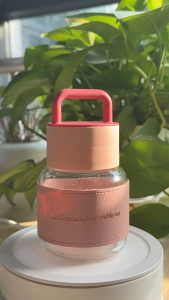 Cawan Kaca Borosilikat 300ml Mudah Alih | 300ml高硼硅玻璃胖胖杯 | 300ml Borosilicate Glass Portable Cup