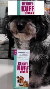 Kennel Kuff Plus Pet Cough Relief Syrup Herbal Formula with Prebiotic & Probiotic 100ml for Dogs & Cats