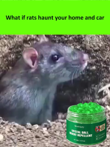 Made in Japan rat repellent for home Rodent Repellent Cream and Capsules Safe for Family and Pets