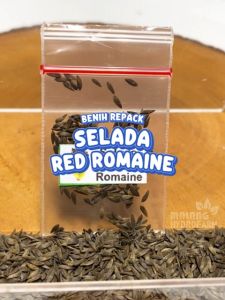 Benih Selada Red Romaine Unggulan Berkualitas biji bibit repack lettuce romain rumana merah hijau hydroponik hidroponik sayur sayuran pot