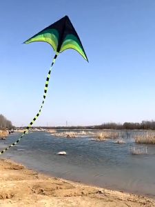 Long tail rainbow kite with kite string 50M outdoor sports 1.2M huge string childrens kite toy