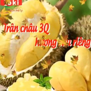 Trân châu 3Q hương sầu riêng Yoki