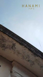 HANAMI Tas Ransel Pink Youko Motif Sekolah Wanita Kupu Elegan Premium Kupu Cantik Kuliah TA1137P3