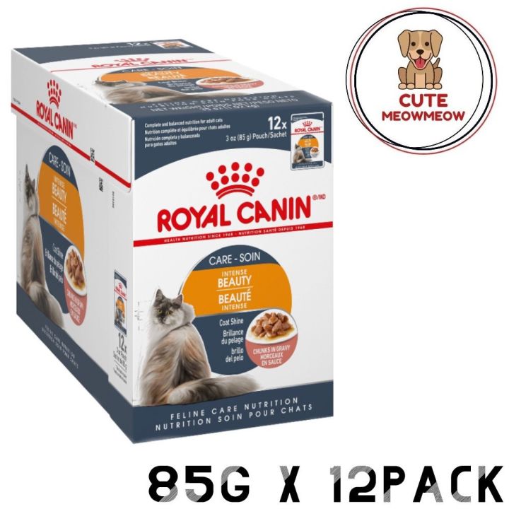 Royal canin intense beauty wet 2025 cat food