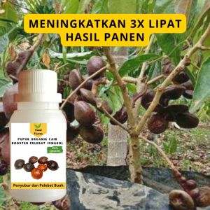 Pupuk Jengkol Cepat Berbuah / Pupuk Pelebat Buah Jengkol / Pupuk Booster Jengkol Cair