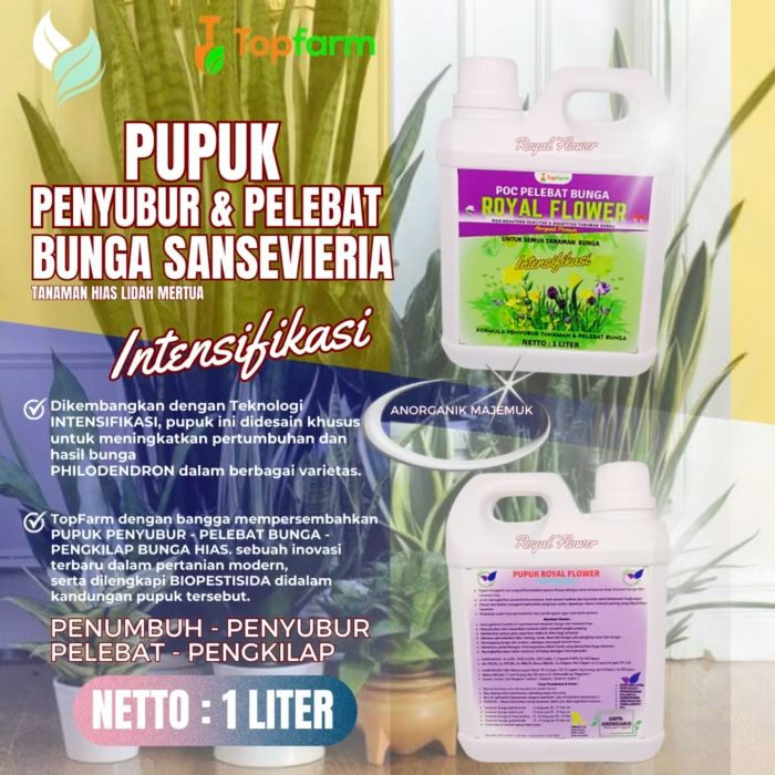 Pupuk Lidah Mertua Pupuk Tanaman Hias Sansevieria Pupuk Khusus