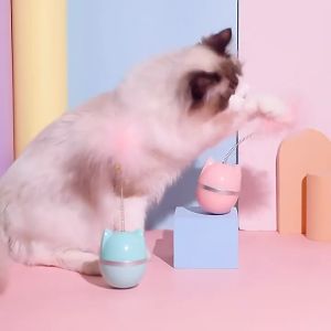 เล่นล่อแมว ตุ๊กตาล้มลูก พร้อมขนาดเล่น ของเล่นแมว ของเล่นแมวขนนก และของเล่นแมวแก้น้องเบื่อ