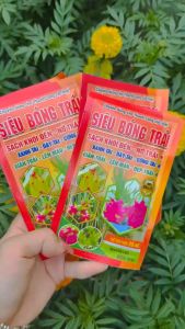 Thuốc Siêu bóng trái cho cây thanh long