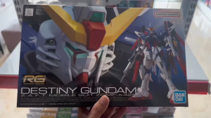 Mô hình Gunpla RG 1/144 Destiny Gundam chính hãng Bandai Gundam Seed
