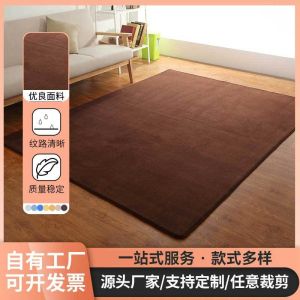 Perwarm Thick Coral Fleece Anti-Slip Mat Large Rectangle Tatami Style Carpet Floor Mat Simple Style Mat Pad Mattress Four Seasons Childrens Game Pad Crawler Mat for Living Room Bedroom