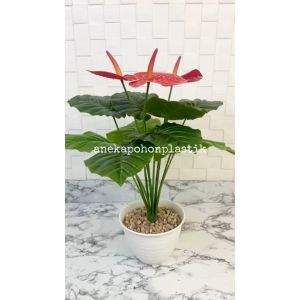 Tanaman Hiasan Pohon Artificial & Bunga Anthurium Merah: Dekorasi Rumah