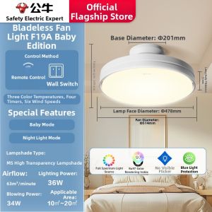 Bull | Leafless Invisible Ceiling Fan Light