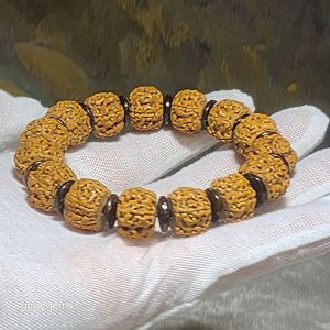 Gegegems premium 14mm Small Species Rudraksha "First Generation Pan Long (Coiling Dragon)" Tibetan cut with 10mm natural coconut shell spacers bracelet