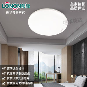 Modern Minimalist 24W White Light Ultra-Thin Ceiling Light Living Room Bedroom Balcony LED Absorption Lighting Fixture