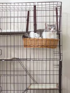 🐱Premium Cage Pet Cage Cat Cage3/ 4 Layer Pet Cage Foldable Sturdy Pet Furniture Cat Cages with Wheels