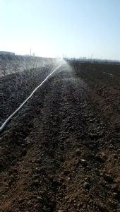 Butterfly Wing Support Hose & 200m Sprinkler Hose: A Comprehensive Guide