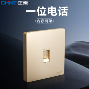 Champagne Gold Wall Switch Socket 86 Type Concealed Household Power USB Multi-Pore 2L Switch Panel CHNT Zhèng Tài