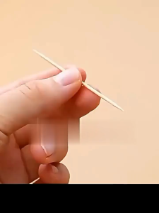 Tusuk Gigi Bambu Tabung Jamur Tusuk Buah / Toothpick Tabung Plastik