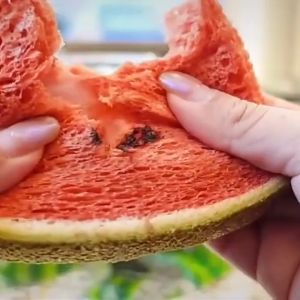 Watermelon Toast Bread Cantaloupe Pitaya Flavor Nutrition 9 packs/carton 480g (Extremely fast delivery)