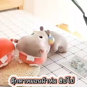 ตุ๊กตา ผ้าห่มสุดคิ้วท์ ที่ชาวออฟฟิศต้องมีติดโต๊ะทำงาน ติดรถไว้ ผ้าห่มนาโน 1.1x1.6 m พร้อมส่งในไทย