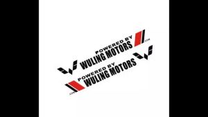 Decal trang trí cửa xe dành cho xe điện Wuling Hongguang Mini EV