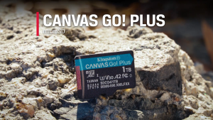 Kingston Canvas Go Plus 64GB/128GB/256GB/512GB/1TB microSDXC Card - Memory Card - Digital Storage