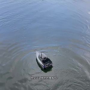 DAMAODIAOYU | Fishing GPS Positioning Automatic Return RC Boat Large Power