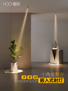 Focused Spotlight Embedded Entrance 3 Degree 15 Degree Beam Tea Room Dining Table Atmosphere Museum LED Wash Wall