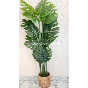 Pohon Hias Artificial Tanaman Daun Monstera Latex T160 Cover Pot Eceng Gondok Hiasan Dekorasi Rumah Cafe Aesthetic