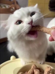 ZHUCHONG | Nutritious Training Dental Chews Freeze-Dried Chicken Neck