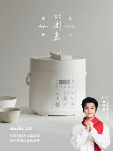 Olayks Large Capacity Electric Pressure Cooker 2L 3L Multi-Function 4L 5L Pressure Pot for Home Use with Rice Spoon And Cup